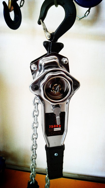 起重鏈?zhǔn)职夂J